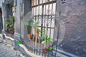 Monterrey, colorful historic buildings in the center of the old city Barrio Antiguo at a peak tourist season photo