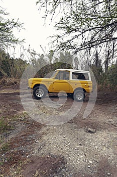 Mexico - February 27, 2023 old Ford Bronco 71 posing on a path