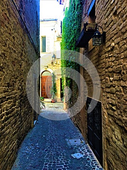 Monterubbiano town, Fermo province, Marche region, Italy. Narrow street, path, ivy and magic