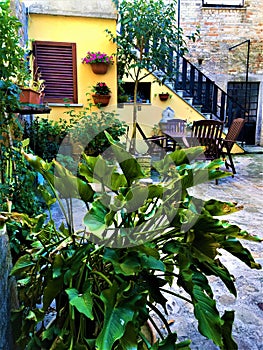 Monterubbiano town, Fermo province, Marche region, Italy. Splenid yard, enchanting corner and plants