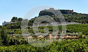 Montesa castle located on hillside photo