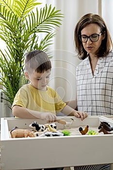 Montessori material. Little boy with his mom explores the farm animals in the game