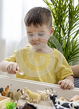 Montessori material. Little boy with his mom explores the farm animals in the game