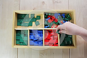 Montessori puzzle. Preschool.