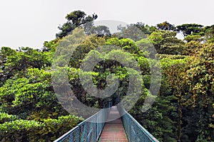 Monteverde Cloud Forest Reserve, hanging, suspended bridge,  treetop canopy views, Costa Rica