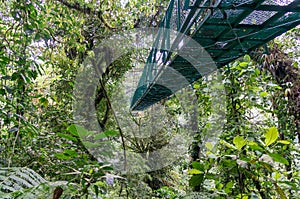 Monteverde Hanging Bridge - Costa Rica