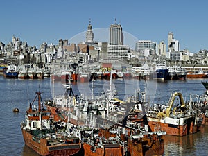 Montevideo Port photo