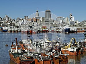 Montevideo Port