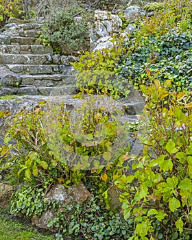 Rustic Style Front House Garden