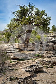 Montezuma Castle and Well
