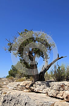 Montezuma's Well National Monument