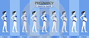 Month by month pregnancy stages of pregnant woman with bikini