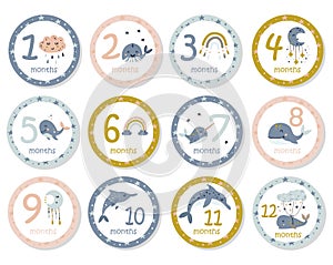 Monthly baby stickers with cute whales