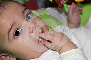 6 months old baby boy putting his fingers in mouth