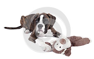 Boxer puppy stuffed animal