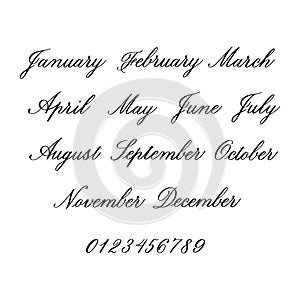 Months of the year modern  calligraphy isotated on a white backg