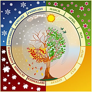 12 Months of the Year