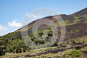 Monti Sartorius, a group a volcano domes at the north-eastern flank of Mount Etna, Sicily, Italy photo