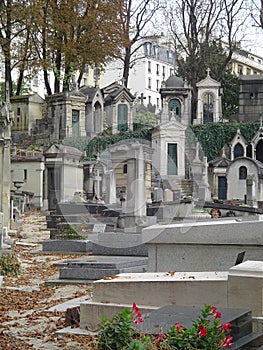 Montmartre cemetery photo