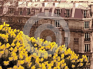 Montmartre paris france