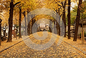 Montparnasse Cemetery Paris