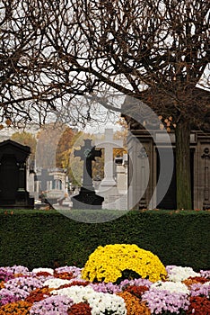 Montparnasse Cemetery Paris