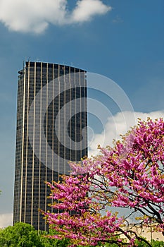 Montparnasse tower