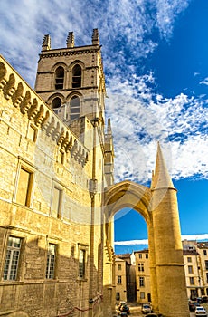 Montpellier Cathedral of Saint Pierre - France