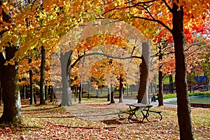 Montreal, Autumn, Quebec Canada