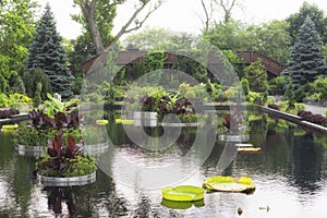 Montreal botanical garden overcast day