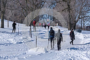 Mont-Royal Park in Montreal after snow storm