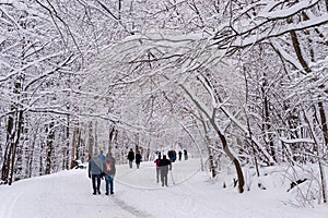 Mont-Royal Park in Montreal after snow storm