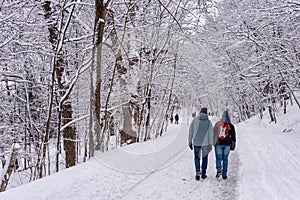 Mont-Royal Park in Montreal after snow storm