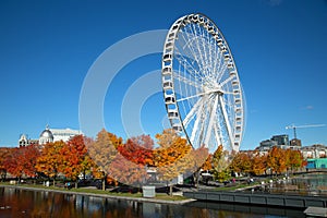 Great wheel of Montreal city in Canada