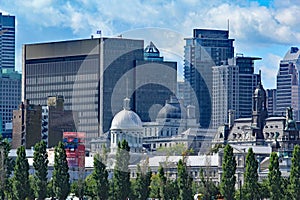 Montreal cityscape as seen from the river edge