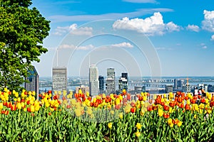 Montreal mount royal looking over the city