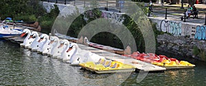 Swan shaped pedal boats