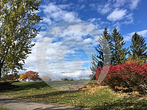 Montreal Rene Levesque Park view 2