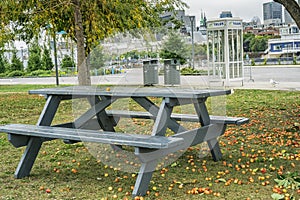 Montreal scene pinic table