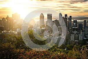 Montreal skyline from Mont Royal