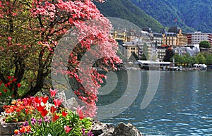 Montreux and Lake Geneva, Switzerland.