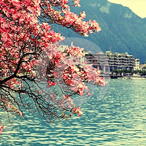 Montreux and Lake Geneva, Switzerland.