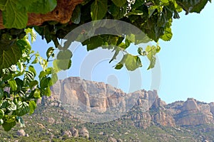 Montsant mountains, Priorat (aka Priorato), Spain photo