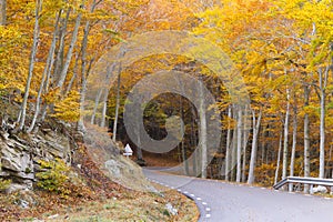 Montseny in autumn