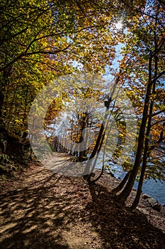 Montseny deep forest colorful autumn in Catalonia, Spain