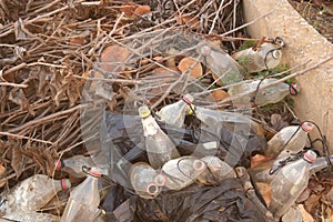 Lots of reused bottles to put insecticides against flies photo