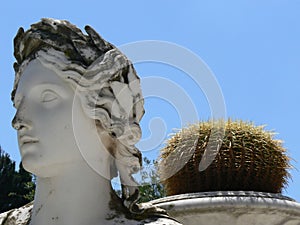 Monument and cactus