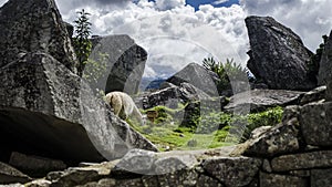 Monument on Cusco