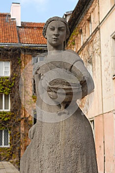 Monument in Down Town Warsaw