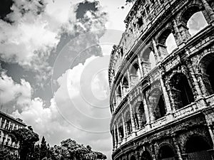 Slightly silvery Roma 3 photo